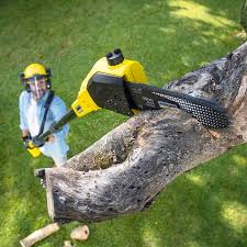 Best Utility Line Clearance  in Jackson, GA